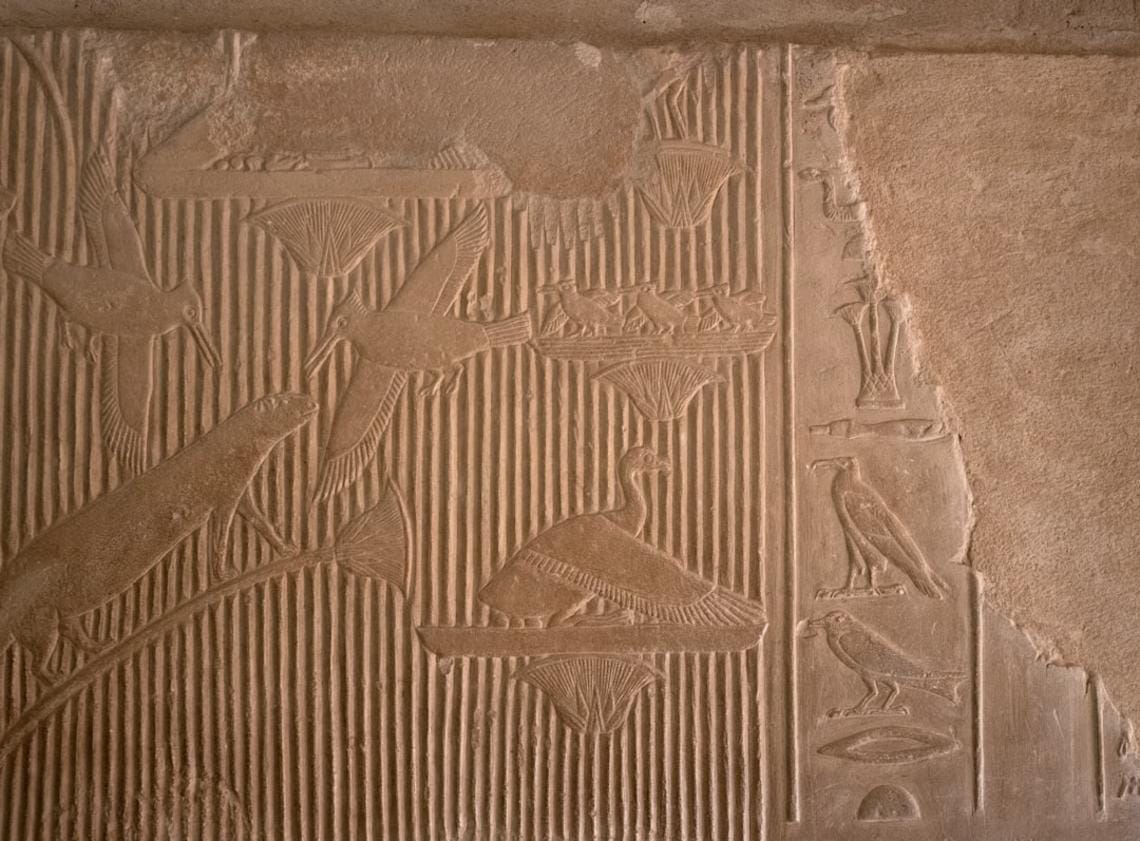 Göbeklitepe relief carvings Close-up of carved reliefs depicting animals on Göbeklitepe’s limestone pillars, illustrating symbolic motifs.