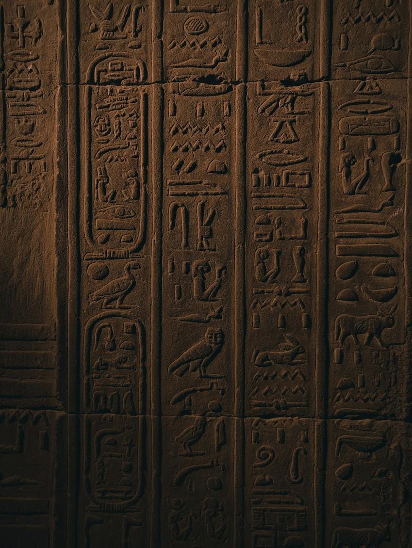 Close-up image of carved animal figures on Göbeklitepe's pillars highlighting intricate prehistoric artwork.